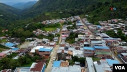 En Fotos | Excombatientes de las FARC producen buen café en apuesta por la paz