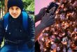 Joven latino de 24 años murió electrocutado mientras colgaba luces navideñas en un árbol en California