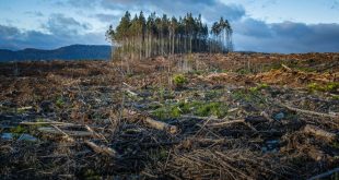 ONU: «Los países deben aumentar drásticamente su adaptación al cambio climático»