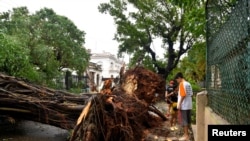 ARCHIVO - La gente se encuentra junto a un árbol arrancado de raíz por los fuertes vientos después de que el huracán Rafael dejó sin servicio eléctrico al país, dejando a 10 millones de personas sin servicio eléctrico, en La Habana, Cuba, el 7 de noviembre de 2024.