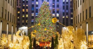 Ya fue elegido el árbol de Navidad que será encendido en el icónico Rockefeller Center