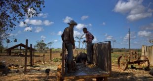 Campesinos se quejan del mal trabajo de la Policía en Cuba