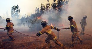 Chile declara alerta roja en varias comunas por voraces incendios forestales