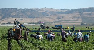 Empresarios de EEUU están en riesgo de perder trabajadores clave ante medidas migratorias más restrictivas