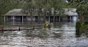 Florida: Huracán Milton provocó pérdidas de 190 millones de dólares en agricultura