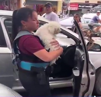 Policías rompen ventana de un carro para rescatar a un perrito antes de que muriera sofocado