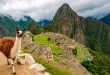 Condenan a cinco años de cárcel a guía de Machu Picchu por colar a un turista por 26 dólares