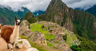 Condenan a cinco años de cárcel a guía de Machu Picchu por colar a un turista por 26 dólares