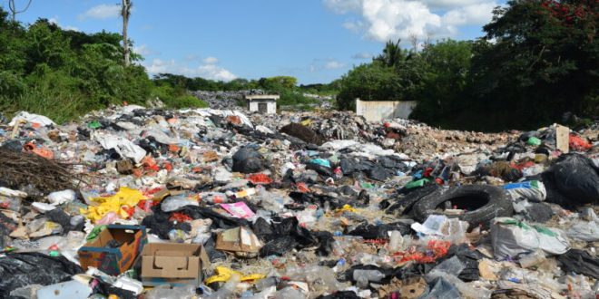 Conmoción en Monagas: Hallan feto en un basurero, le faltaban menos de tres semanas para nacer