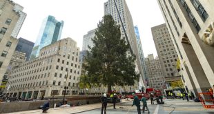 El árbol de Navidad del Rockefeller Center será derribado este sábado en su última noche festiva