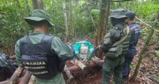 FANB incauta más de 5 toneladas de presunta marihuana en Amazonas