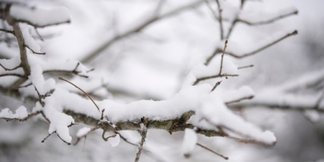 Tormenta invernal superan récord anuales de nieve en varios estados del sur de EEUU