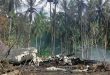 A plane hired by the US army crashed in southern Philippines: at least four dead