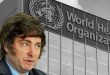 Argentina outside the WHO: a political and sanitary nonsense, according to experts