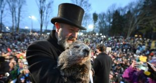 En Pensilvania, la marmota Phil pronostica más invierno para EEUU y nuevamente reúne a miles durante la festividad