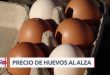 Gripe aviar eleva precios de huevos en EEUU