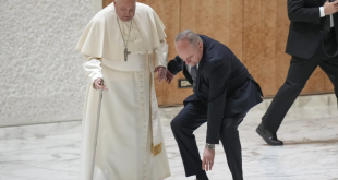 Papa Francisco se tambaleó tras romperse parte de su bastón cuando entraba en una audiencia