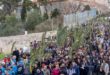 Cristianos caminan en la procesión del Domingo de Ramos en el Monte de los Olivos en Jerusalén, el 24 de marzo de 2024.