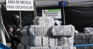 operación antidrogas con Gambia permite decomisar 3,95 toneladas de cocaína