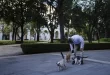 El veterinario Jesús Arias saluda a varios de los gatos.