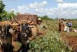 Campesinos cubanos advierten sobre las críticas condiciones que enfrentan para producir.