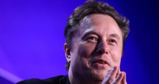 Elon Musk podría convertirse en asesor político de Trump si gana las elecciones: medio