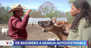 Hispanos destacan en combate del cambio climático con prácticas de agricultura sostenible