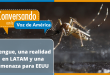 El dengue y su impacto en los sistemas de salud