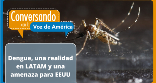 El dengue y su impacto en los sistemas de salud