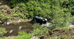 Perro ayuda a que su dueño sea rescatado luego de desbarrancarse en Oregon