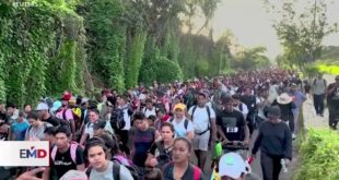 Cientos de migrantes buscan llegar a la frontera sur de EEUU antes de las elecciones