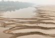 Los niveles de agua en el Amazonas están mínimos históricos por la sequía prolongada