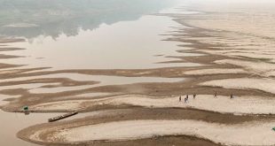 Los niveles de agua en el Amazonas están mínimos históricos por la sequía prolongada