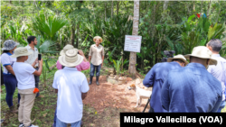 En Fotos | La ruta del café: familias agrícolas de Panamá mantienen el recurso hídrico del canal