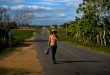 Ni guaguas ni trenes, Pinar del Río frena todo el transporte público