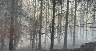 Sigue activo el mayor incendio forestal en Ecuador de los últimos años; Colombia envía apoyo