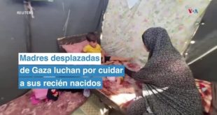 Madres desplazadas de Gaza luchan por cuidar a sus recién nacidos