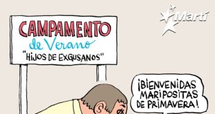 El cascabel al dato