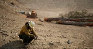 Bomberos de Navajo Nation luchan contra los incendios en Los Ángeles