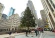 El árbol de Navidad del Rockefeller Center será derribado este sábado en su última noche festiva