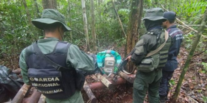 FANB incauta más de 5 toneladas de presunta marihuana en Amazonas