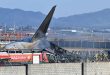 Hallaron ADN de pato en ambos motores del avión de Jeju Air que se estrelló en Corea del Sur y dejó 179 muertos