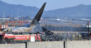 Hallaron ADN de pato en ambos motores del avión de Jeju Air que se estrelló en Corea del Sur y dejó 179 muertos