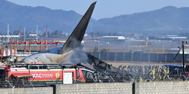 Hallaron ADN de pato en ambos motores del avión de Jeju Air que se estrelló en Corea del Sur y dejó 179 muertos