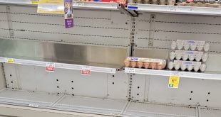 La razón por la que Estados Unidos enfrenta una grave escasez en la producción de huevos