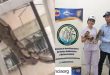 Rescataron a serpiente que se había escapado de su jaula en Casalta, ahora vivirá en el Zoológico de Caricuao