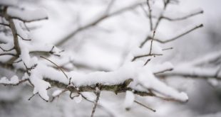 Tormenta invernal superan récord anuales de nieve en varios estados del sur de EEUU