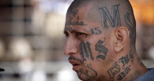 ¿Cómo afectará a la Mara Salvatrucha el ser designada como organización terrorista por EEUU?