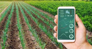 Companies from Venezuela and Colombia agree to promote agrotechnology