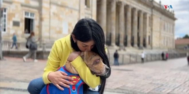 Inspirada en un perro víctima de crueldad, Colombia aumenta penas por maltrato animal